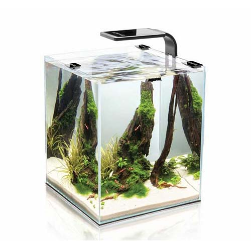 AquaEl Shrimp Set DUO LED 49л аквариум чёрный, 35х35х40 см