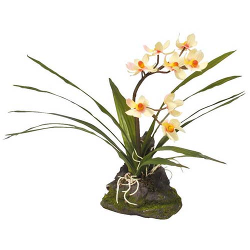 LUCKY REPTILE Декоративное растение "Orchid White", белое, 40 см