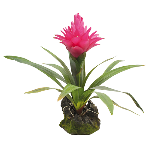 LUCKY REPTILE Растение для террариумов декоративное "Bromelia", 35см