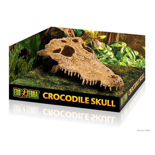 Череп Крокодила Exo-Terra Crocodile Skull