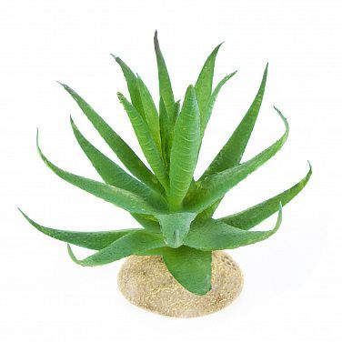 TERRA DELLA Растение для террариума "Алое", светло-зелёное