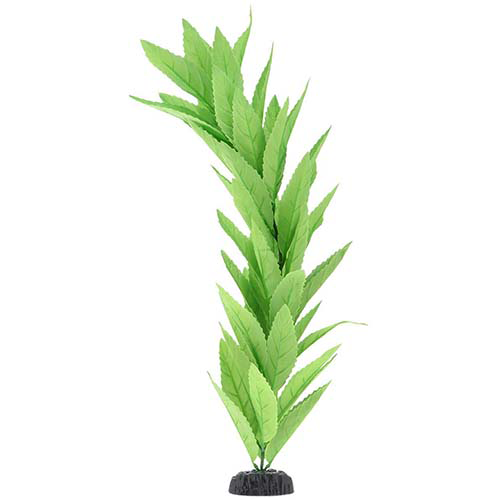 Шелковое растение Гигрофила 50см, Barbus