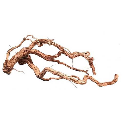 Виноградная лоза (100 см)