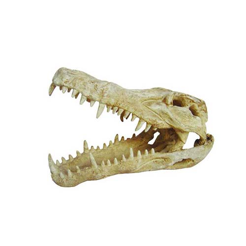 LUCKY REPTILE Декорация для террариумов, череп "Skull Krokodil", 25х11,2х15,2