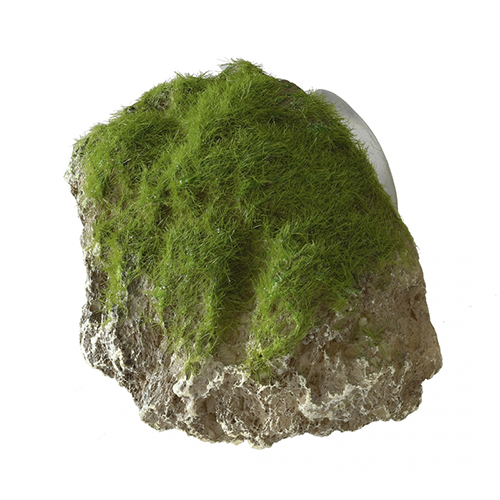 Aqua Della Декоративный камень с мхом для аквариума "Moss Stone", 9х6х6,5см