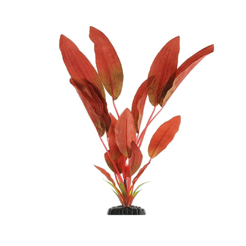 Шелковое растение Криптокорина красная 50см, Barbus
