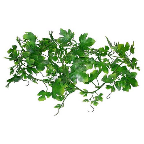 LUCKY REPTILE Декоративное растение "Gape Leaf Vine", 200 см
