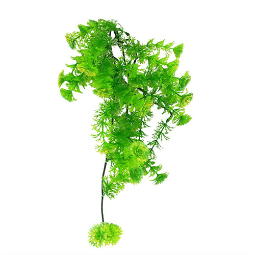 LUCKY REPTILE Декоративное растение для террариумов "Turtle Plant Horn Fern", 40см