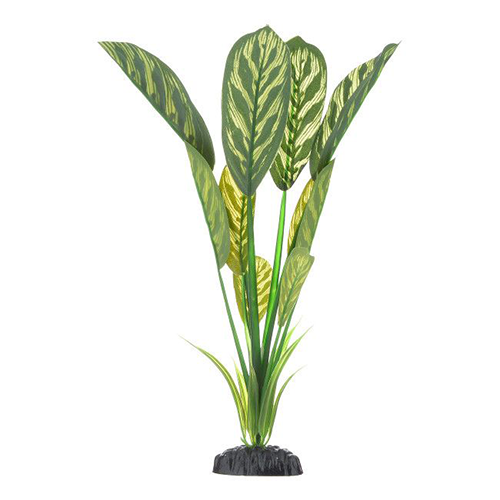 Шелковое растение Дифинбахия 50см, Barbus