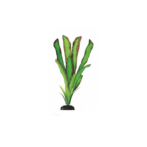 Шелковое растение Эхинодорус Бартхи 20см зеленый, Barbus