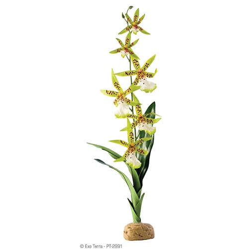 Искусственное растение Exo-Terra Spider Orchid