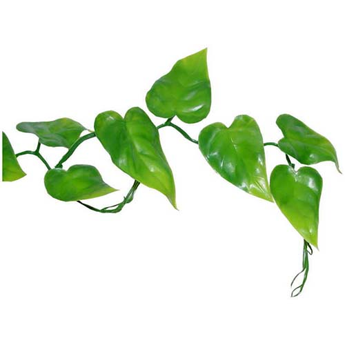LUCKY REPTILE Декоративное растение для террариумов "Philo Vine", 200см