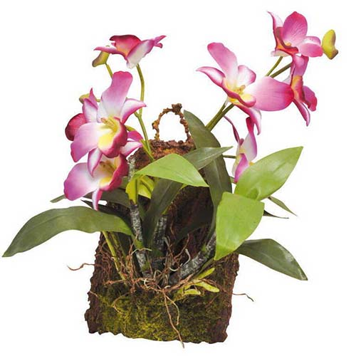 LUCKY REPTILE Декоративное растение "Hanging Orchid", розовое, 20x30 см