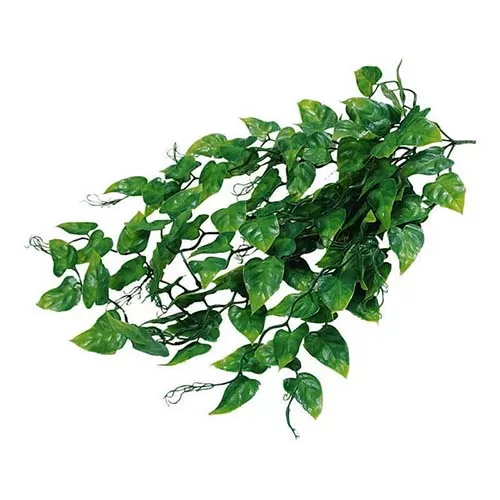 LUCKY REPTILE Декоративное растение для террариумов "Philo", 60см