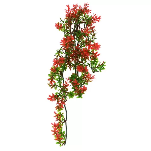LUCKY REPTILE Декоративное растение для террариумов "Turtle Plant Ludwigia", 40см