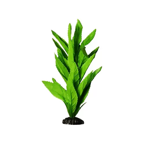 Шелковое растение Гигрофила 20см, Barbus