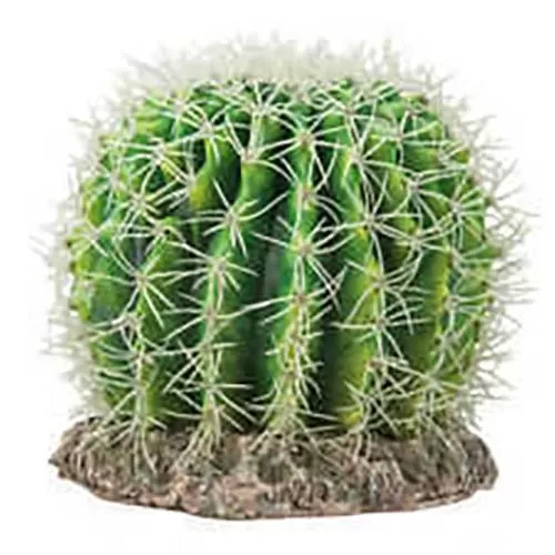 Растение для террариумов HOBBY Кактус Сьерра Невада 16 см