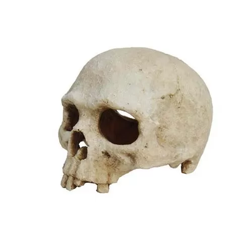 LUCKY REPTILE Декорация для террариума, череп "Skull Monkey", 15х12х11см